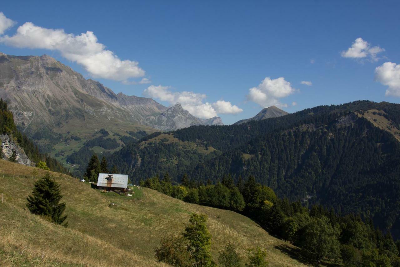 Reine des Aravis - chalet isolé Flumet Exterior foto