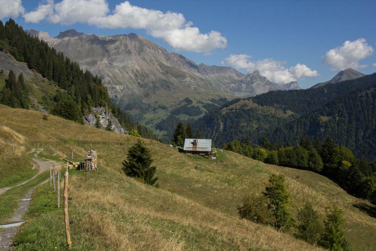 Reine des Aravis - chalet isolé Flumet Exterior foto